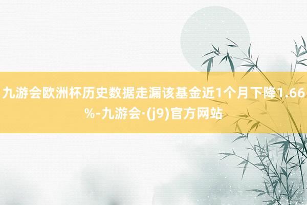 九游会欧洲杯历史数据走漏该基金近1个月下降1.66%-九游会·(j9)官方网站