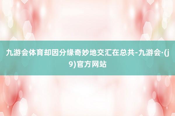 九游会体育却因分缘奇妙地交汇在总共-九游会·(j9)官方网站