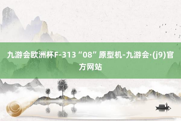 九游会欧洲杯F-313“08”原型机-九游会·(j9)官方网站
