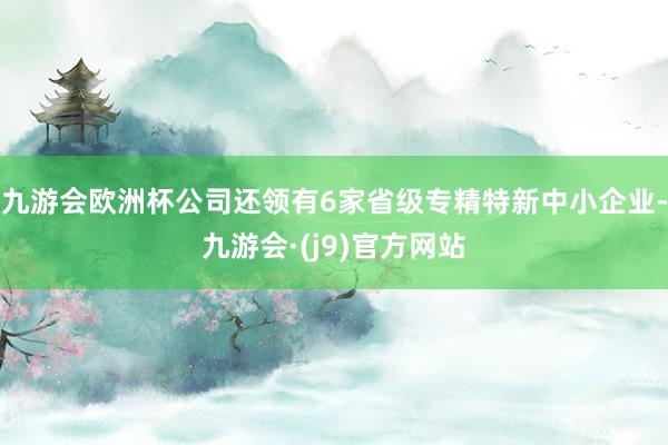 九游会欧洲杯公司还领有6家省级专精特新中小企业-九游会·(j9)官方网站